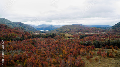Autumn colors and textures. Aerial view of the valley, mountains and forest foliage in fall.  © Gonzalo