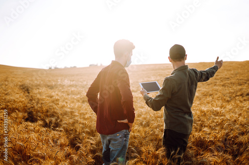 Farmers in sterile medical masks on golden wheat field with a tablet in his hands. Agriculture and harvesting concept. Covid-19.