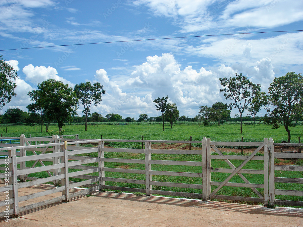 cattle corral in the brazilian country side cattle corral in the brazilian country side