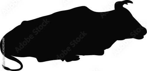 Cow silhouette Vector image of cow on a white background 