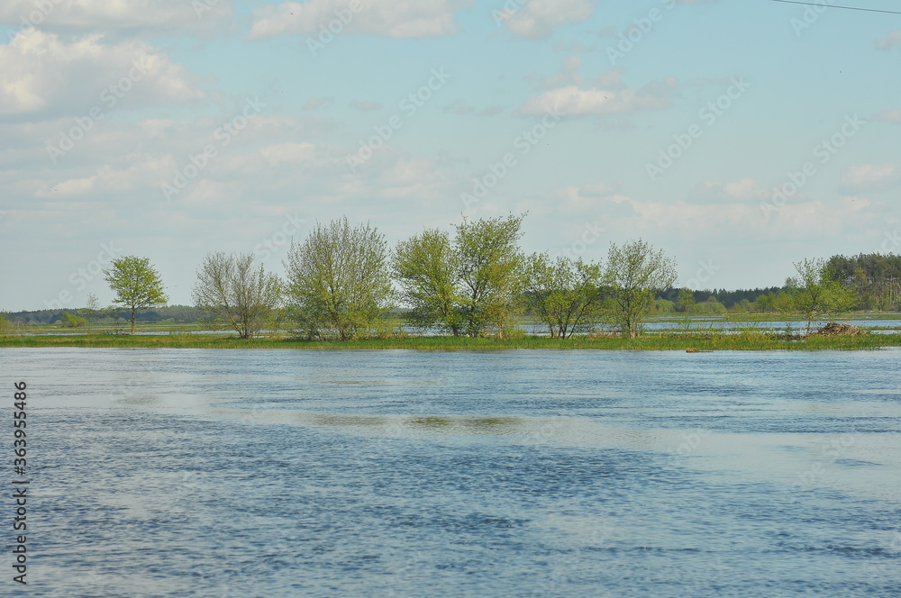 Rzeka Narew Rzeka Narew