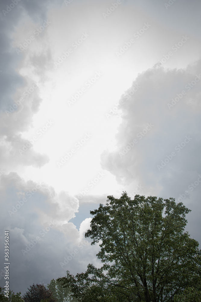 Summer pop-up storm clouds roll over an Ohio forest Summer pop-up storm clouds roll over an Ohio forest
