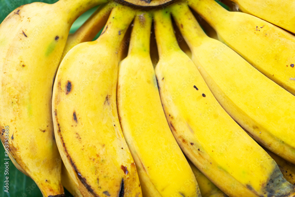 A branch of juicy yellow bananas close up.