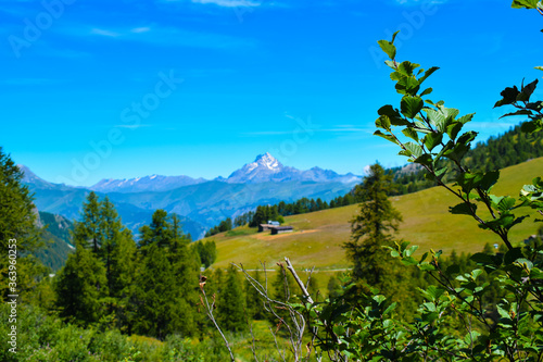 IN LONTANANZA IL MONVISO