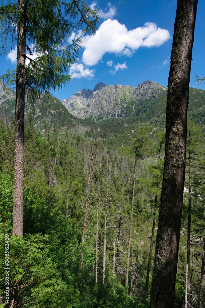 View from Hrebienok mountain to Lomnický štít - the most popular peak in the High Tatras, Slovakia View from Hrebienok mountain to Lomnický štít - the most popular peak in the High Tatras, Slovakia