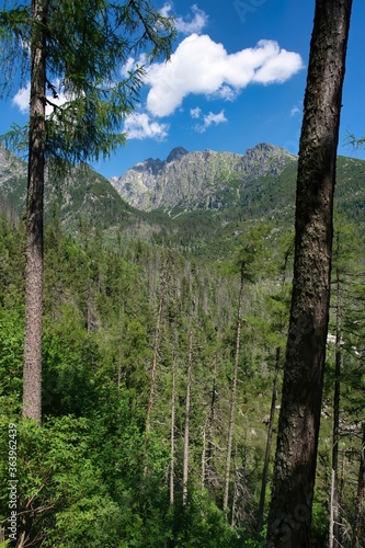 View from Hrebienok mountain to Lomnický štít - the most popular peak in the High Tatras, Slovakia