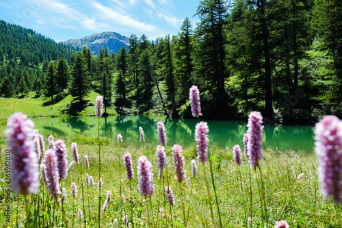 LAGO RESILE