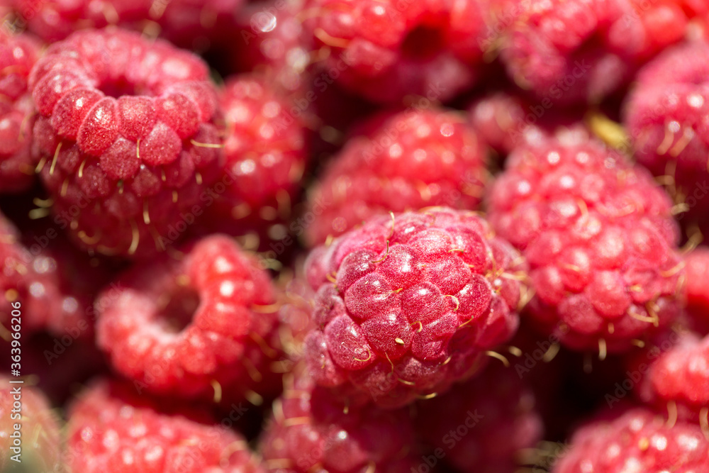Macro photo of fresh raspberries. Background patern of sweet red raspberries. Macro photo of fresh raspberries. Background patern of sweet red raspberries.