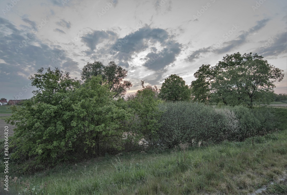 Obraz premium Zachód słońca Siedlce k.Oławy dolnośląskie Polska 