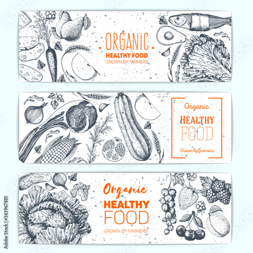 Healthy food banner set. Vegetables, fruits, meat, fish hand drawn. Organic food set, vector illustration. Engraved style