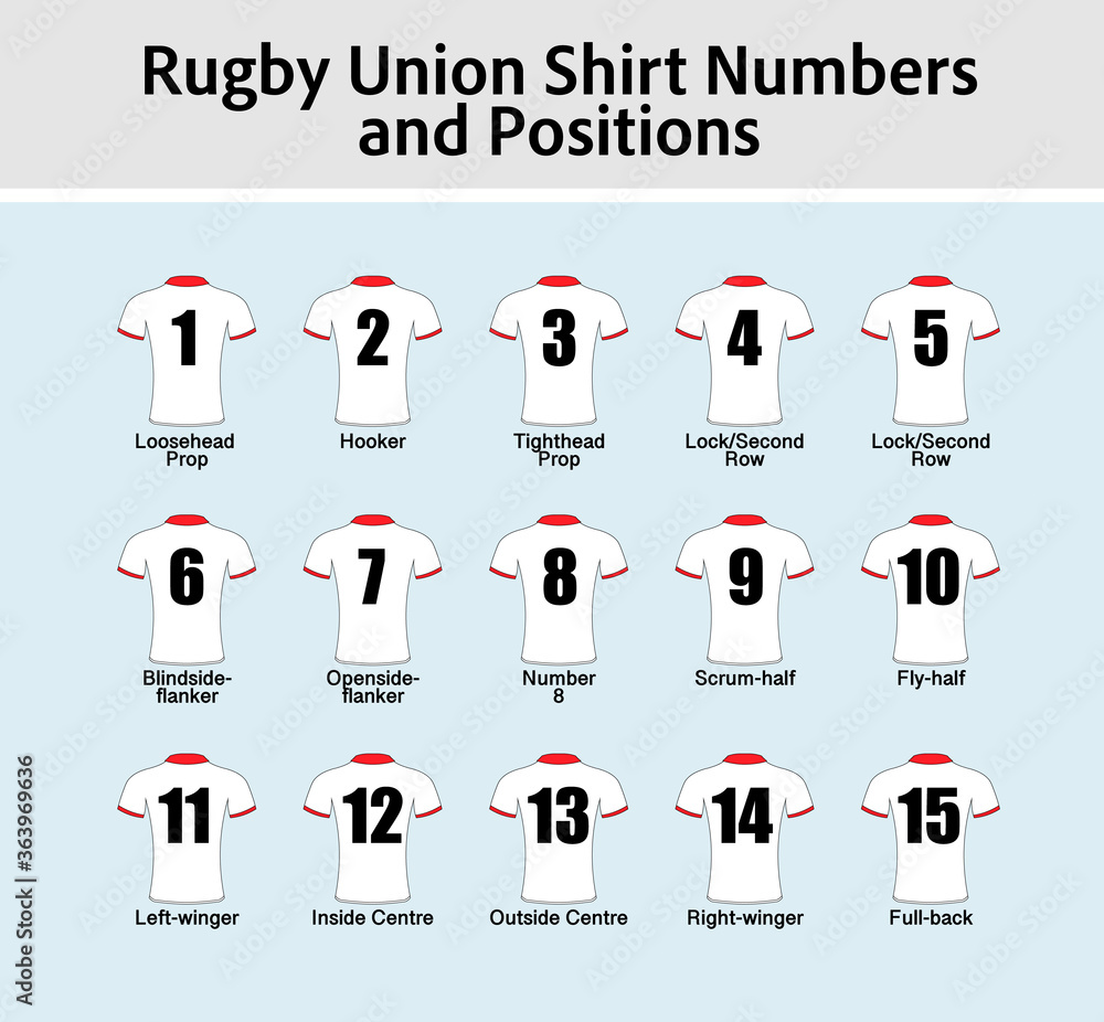 Vettoriale Stock Set of Rugby Union shirts, numbered and with position  names labelled underneath. In the colours of the England team. | Adobe Stock