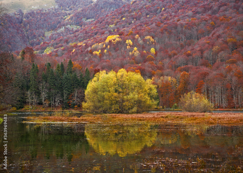 Autumn forest with reflection on Biogradsko lake in Montenegro