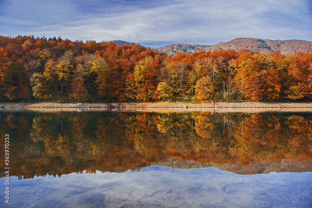 Obraz premium Autumn forest with reflection on Biogradsko lake in Montenegro