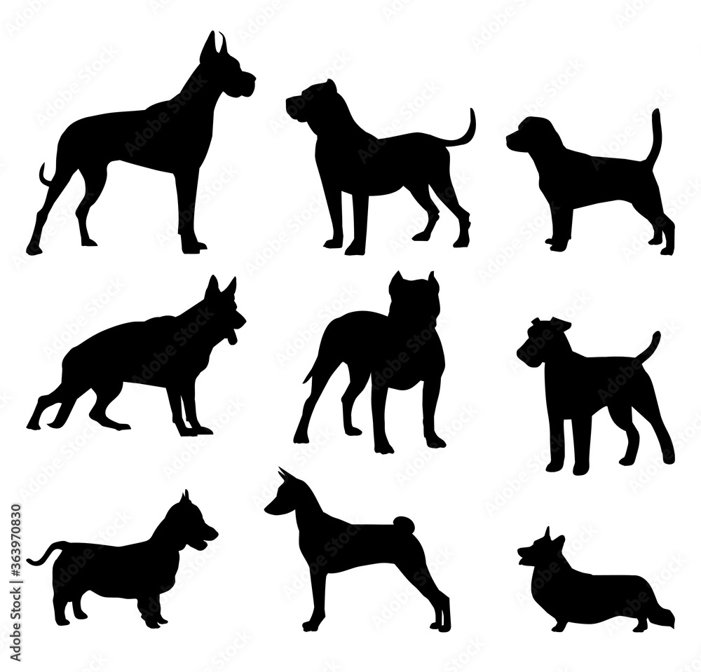 set of dogs of different breeds. black outline