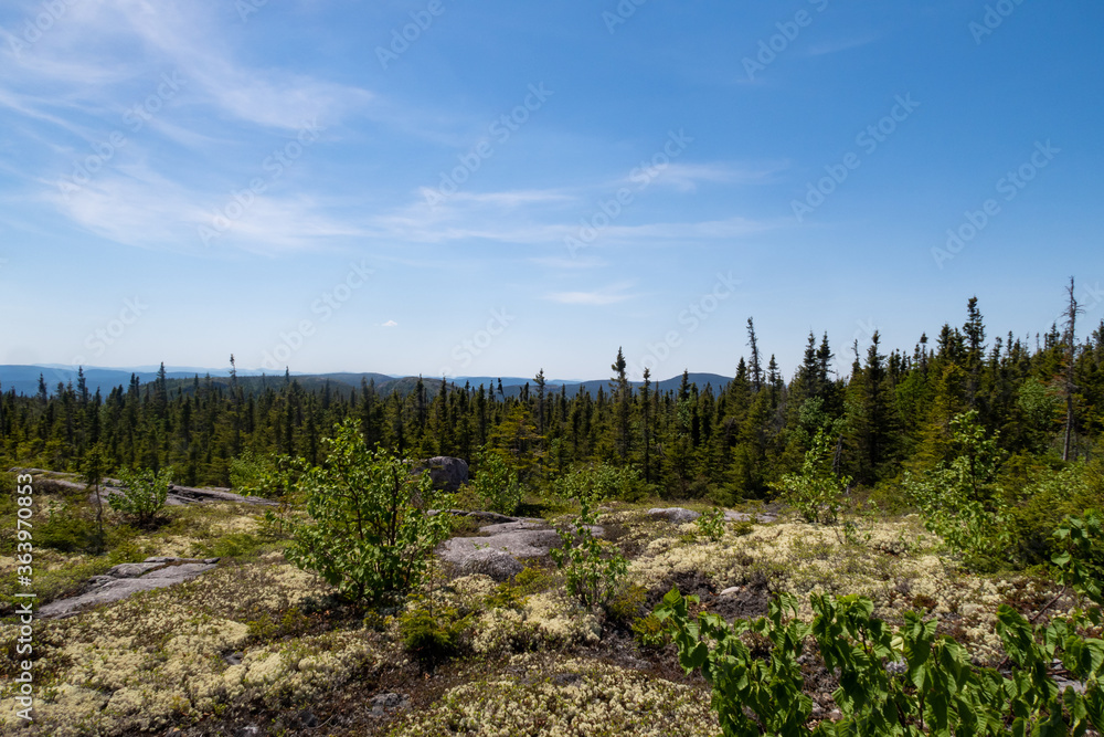 Beautiful landscape in the Grands-Jardins national park, Canada Beautiful landscape in the Grands-Jardins national park, Canada