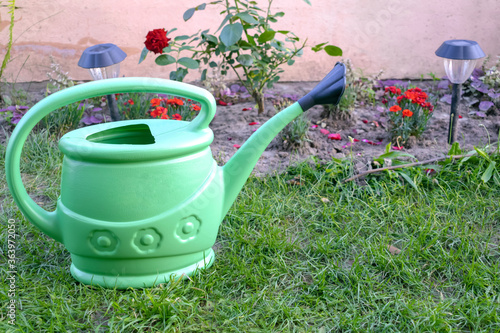 flowers and green watering can in grass in a garden at summer with copy space