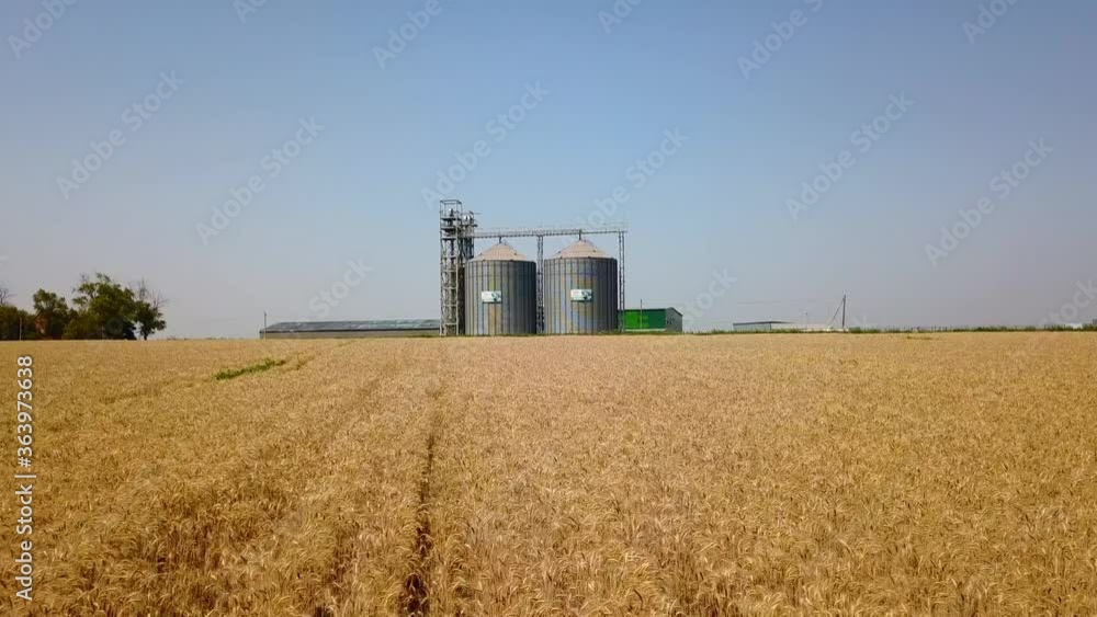 Aerial of grain elevator in front of wheat field. Quadcopter drone camera flying towards flour or oil mill plant. Silos near farmland. Agriculture theme, a harvesting season. Dolly in. Aerial of grain elevator in front of wheat field. Quadcopter drone camera flying towards flour or oil mill plant. Silos near farmland. Agriculture theme, a harvesting season. Dolly in.