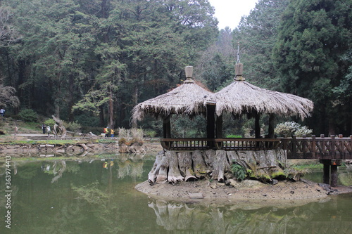 Hut on the lake Asian Forest 