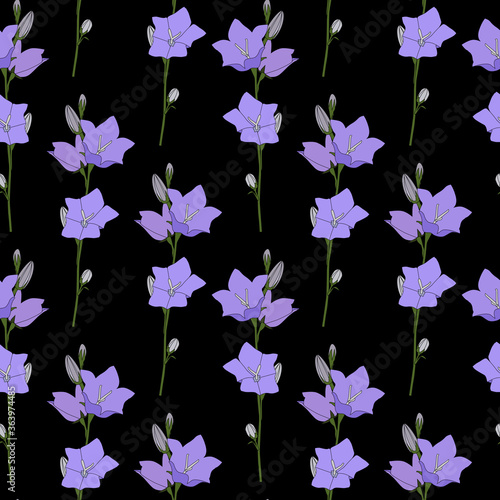 Hand drawn Campanula Flower seamless pattern background. Vector Illustration