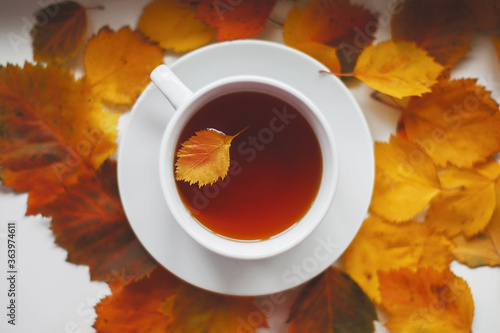white round cup with tea among autumn orange leaves, leaf inside a cup, autumn concept 