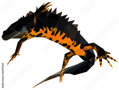 great crested newt low poly vector illustration