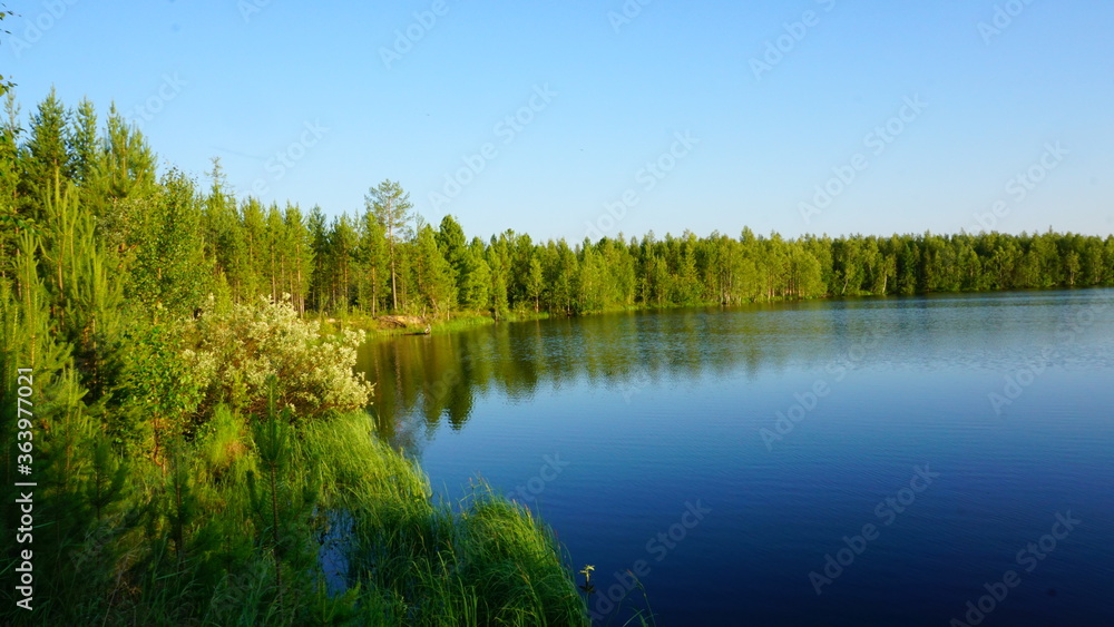 landscape summer river forest in the distance landscape summer river forest in the distance