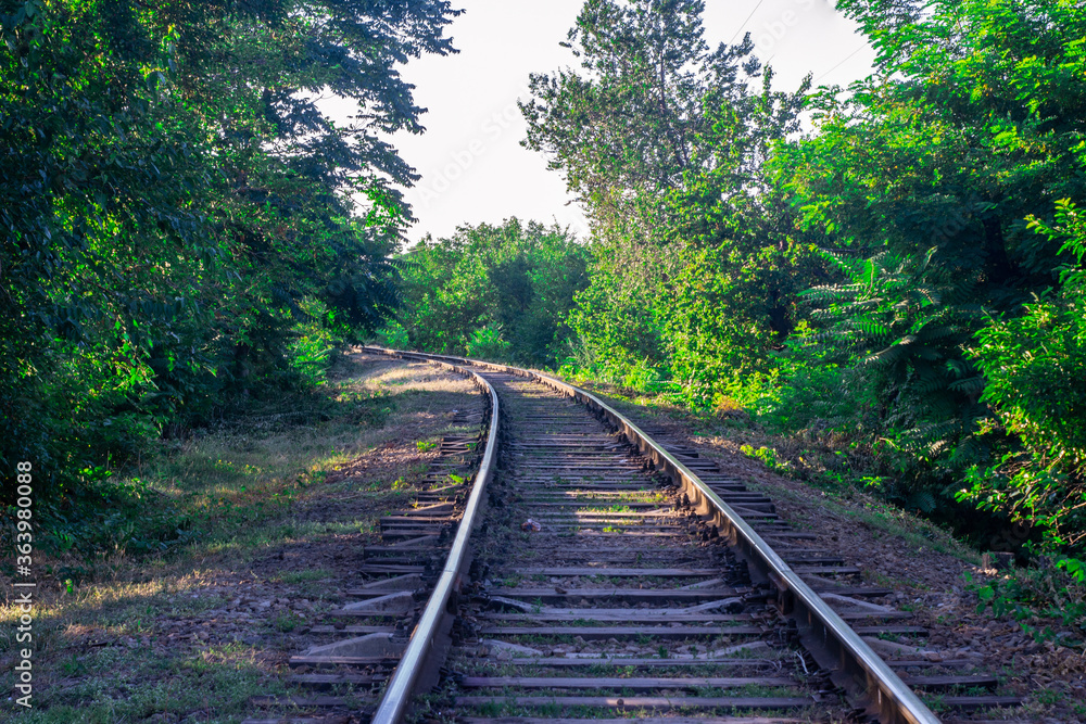 railway in a rural landscape. Railway Track. railway in a rural landscape. Railway Track.