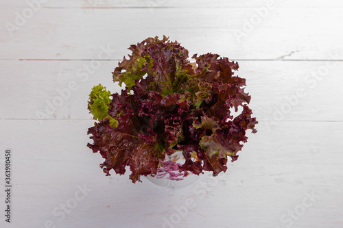 red leaf salad in a cup on a white wooden table