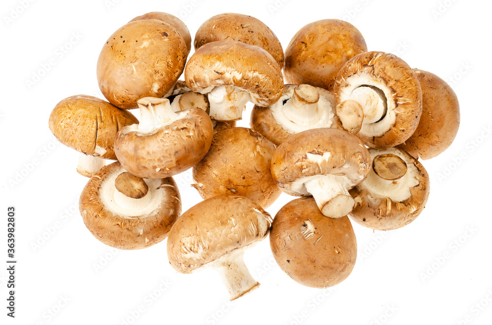 Brown royal champignons on white background. Photo Brown royal champignons on white background. Photo