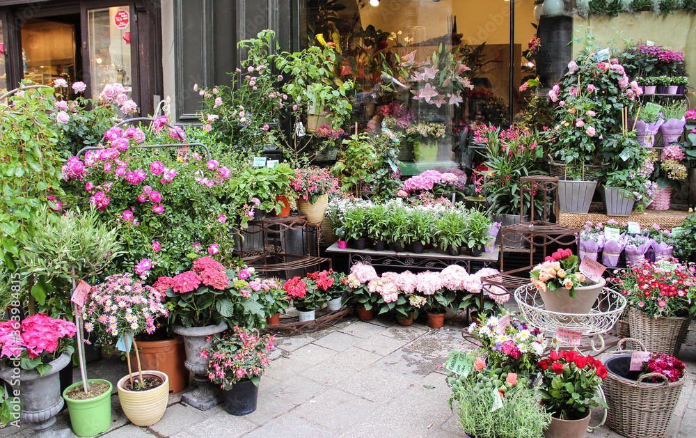 Flower shop. Pots of different flowers displayed outdoor on the street of Vienna.