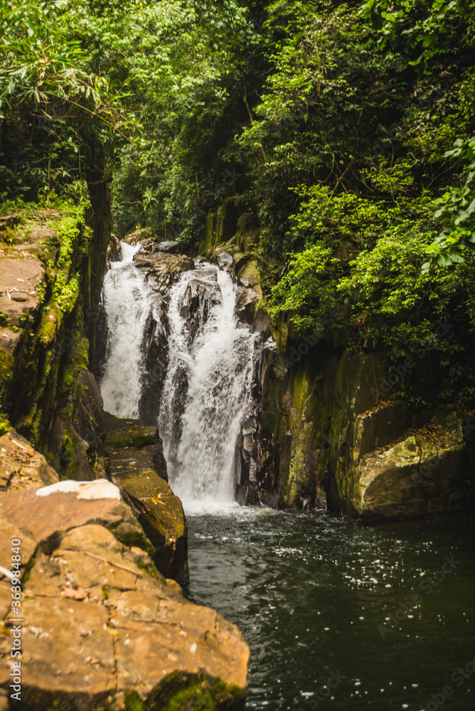 Fototapeta premium waterfall in the forest