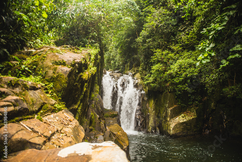 small waterfall in the forest