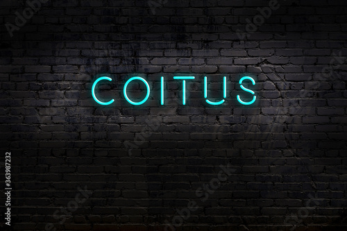 Φωτογραφία Night view of neon sign on brick wall with inscription coitus