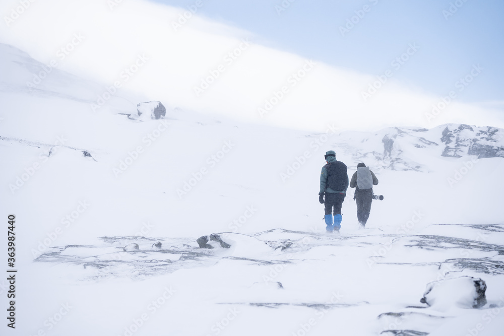 Hikers and photographer in the dovrefjell national park, Norway. Man hiking in winter
