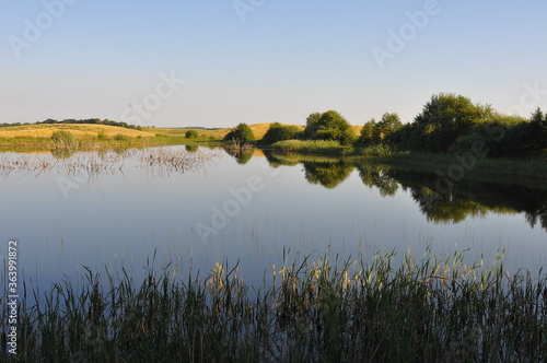 Las i jezioro. Krajobraz. Polska - Mazury - Warmia.