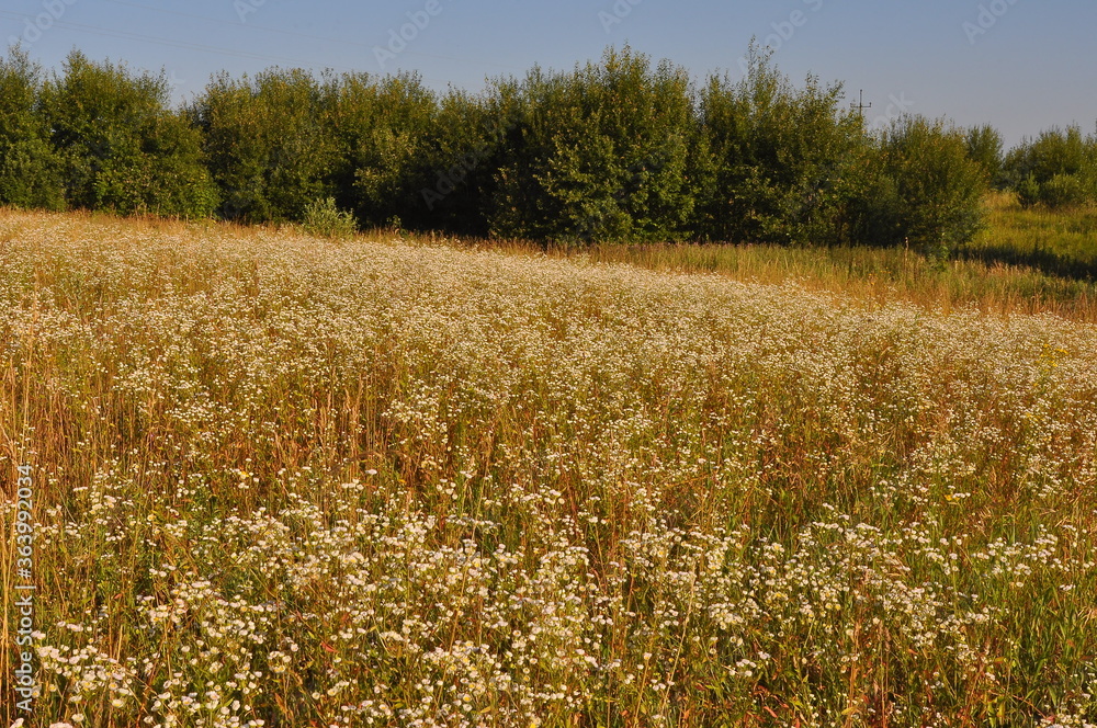 Polska - Mazury - Warmia. Krajobraz. Polska - Mazury - Warmia. Krajobraz.