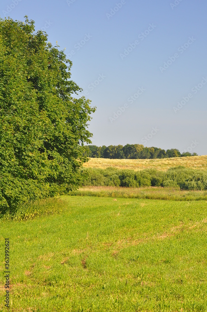 Obraz premium Polska - Mazury - Warmia. Panorama. Wiosna. Drzewo.