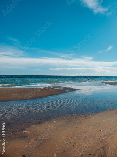 Seagull on the beach. Sand background of free space for your decoration. Soft Wave Of Blue Ocean On Sandy Beach  Summer time. Rockaway Beach  New York. Quiet and peaceful place