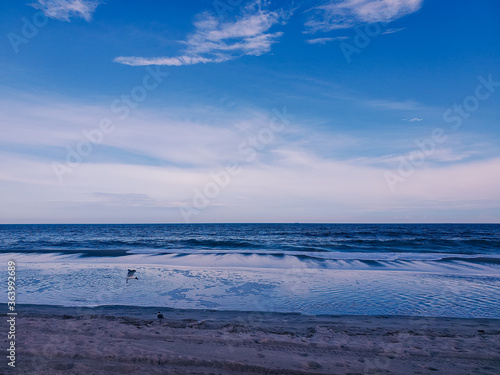 Seagull on the beach. Sand background of free space for your decoration. Soft Wave Of Blue Ocean On Sandy Beach, Summer time. Rockaway Beach, New York. Quiet and peaceful place