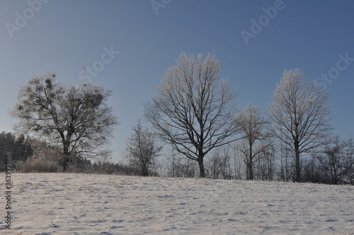 Wallpaper Mural Polska - Mazury - Warmia. Krajobraz. Torontodigital.ca