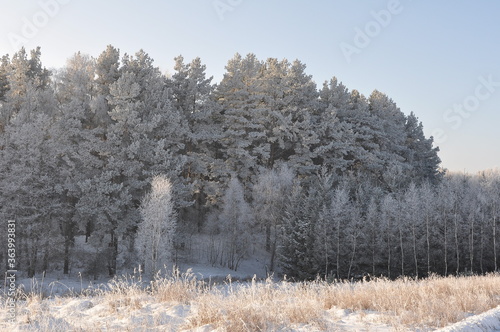 Wallpaper Mural Warmia Torontodigital.ca