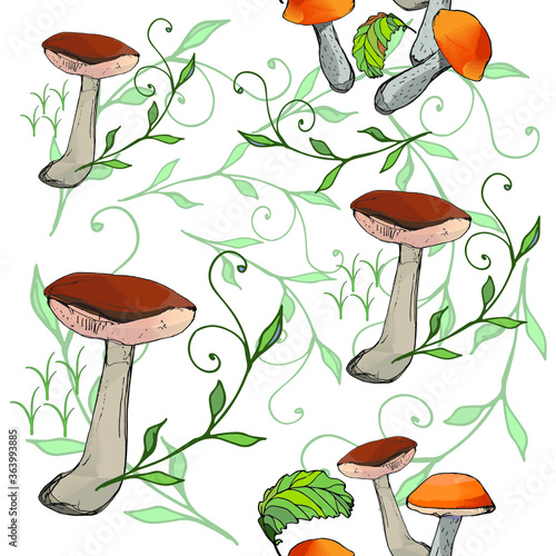 Mushrooms edible vegetarian organic mushrooms seamless pattern,  illustration. Chanterelles, boletus, orange-cap boletus mushrooms.