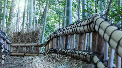 竹林の竹垣のある散歩道