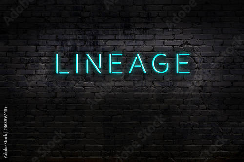 Fototapet Neon sign. Word lineage against brick wall. Night view
