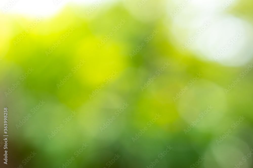 Fototapeta premium Abstract blur yellow, green and white color bokeh background