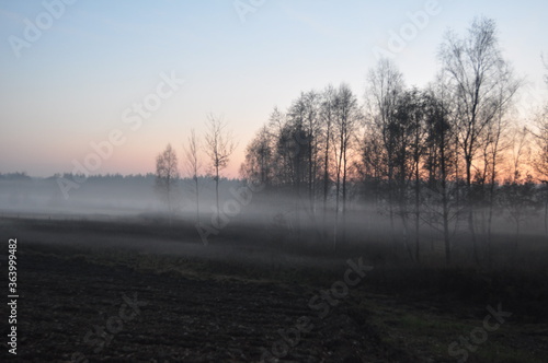 Mgła jesienna. Polska - Mazury - Warmia.