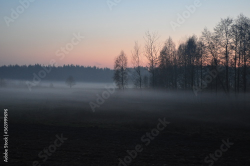 Wieczorna mgła. Krajobraz. © Rafa