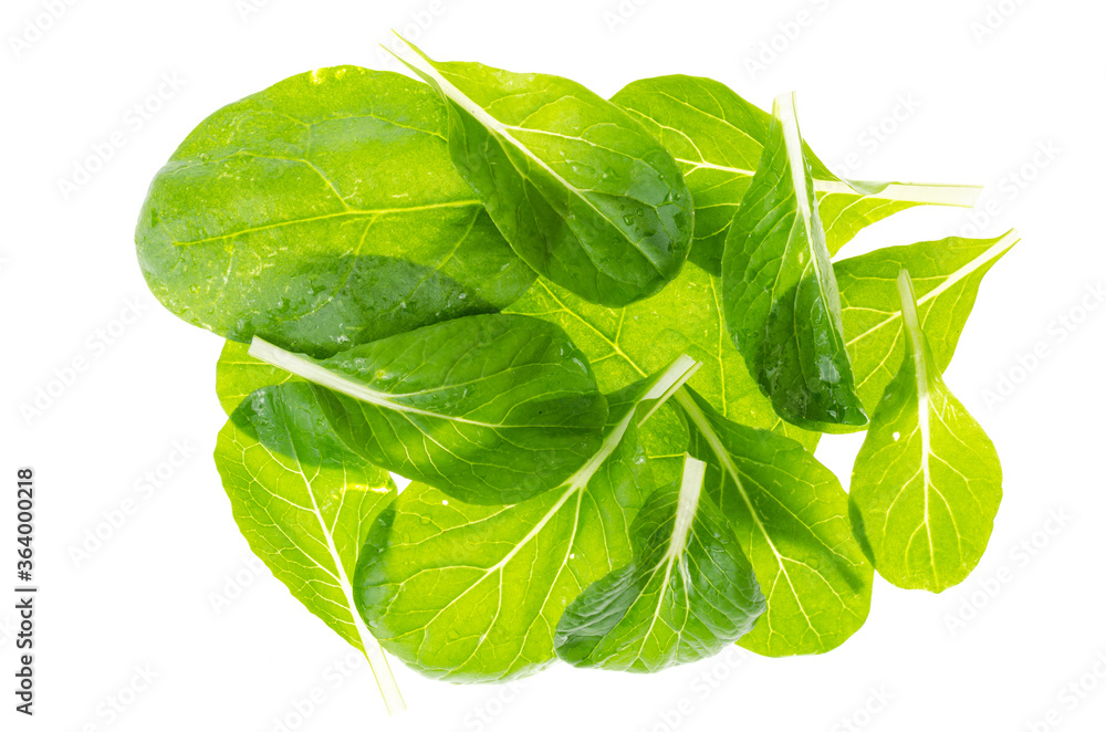 Fototapeta premium Green spinach leaves isolated on white background