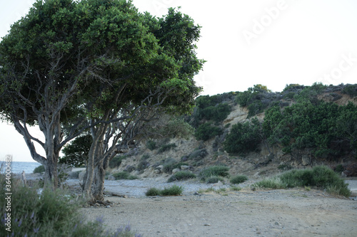 Peristeres beach rodakino Crete island free camping area covid-19 season modern high quality prints photo