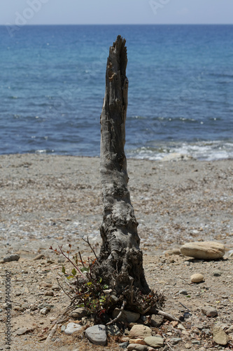 Peristeres beach rodakino Crete island free camping area covid-19 season modern high quality prints photo